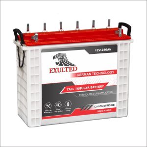 Exulted 220AH/12V Tall Tubular Battery (Premium Quality, with German Technology)